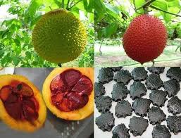 Cách chữa viêm xoang tại nhà hiệu quả