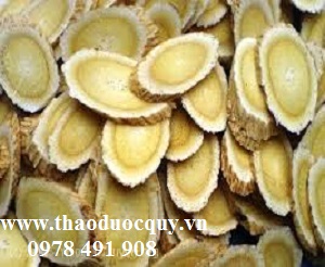 Món ăn, bài thuốc hỗ trợ điều trị suy tim mạn tính