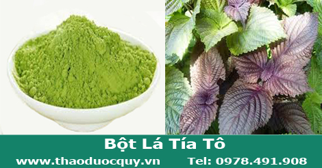 Bột Tía tô/ Tía tô