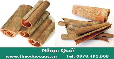 Nhục quế (Quế chi, Quế Thanh)