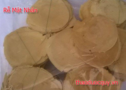 rễ mật nh&acirc;n 
