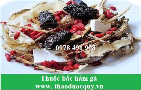 Thuốc bắc hầm g&agrave;